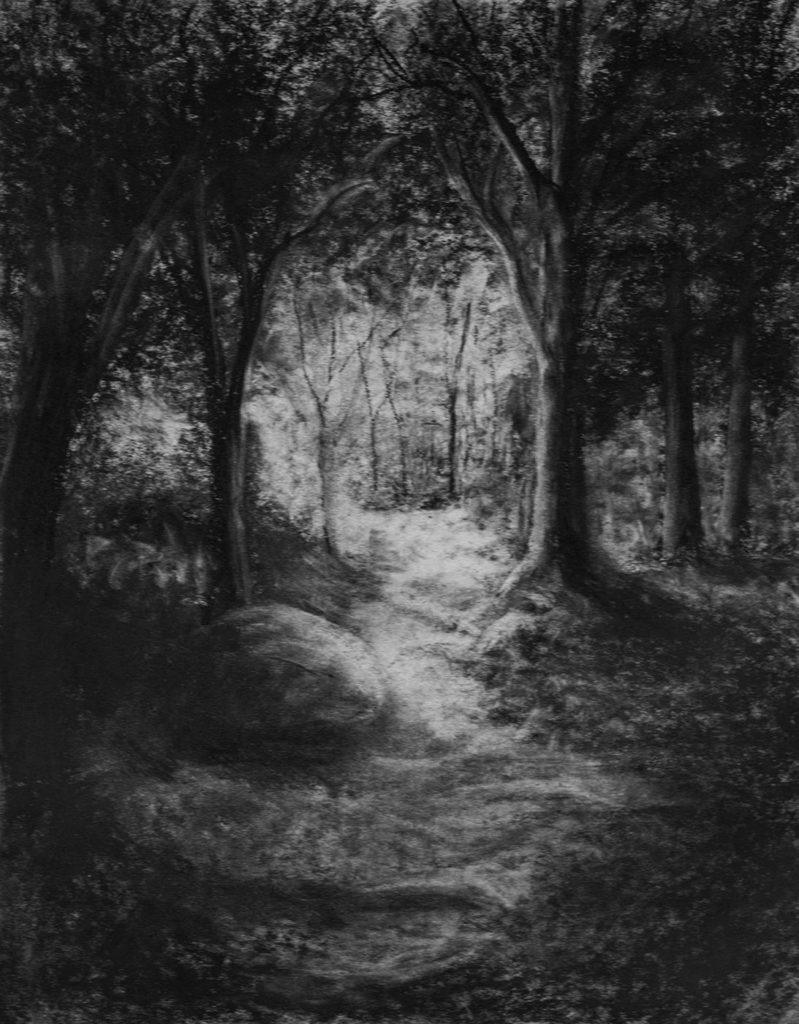 walk-in-the-woods-11x14